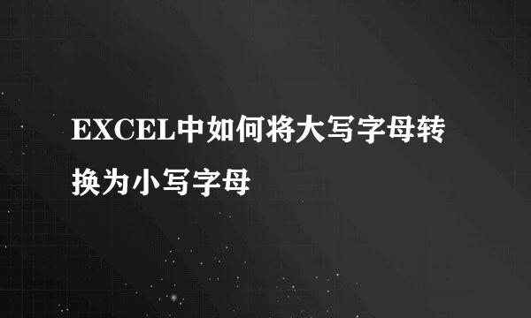 EXCEL中如何将大写字母转换为小写字母