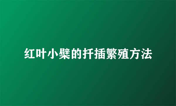 红叶小檗的扦插繁殖方法