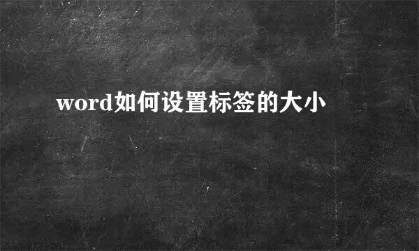 word如何设置标签的大小