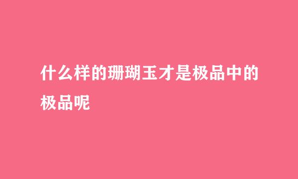 什么样的珊瑚玉才是极品中的极品呢